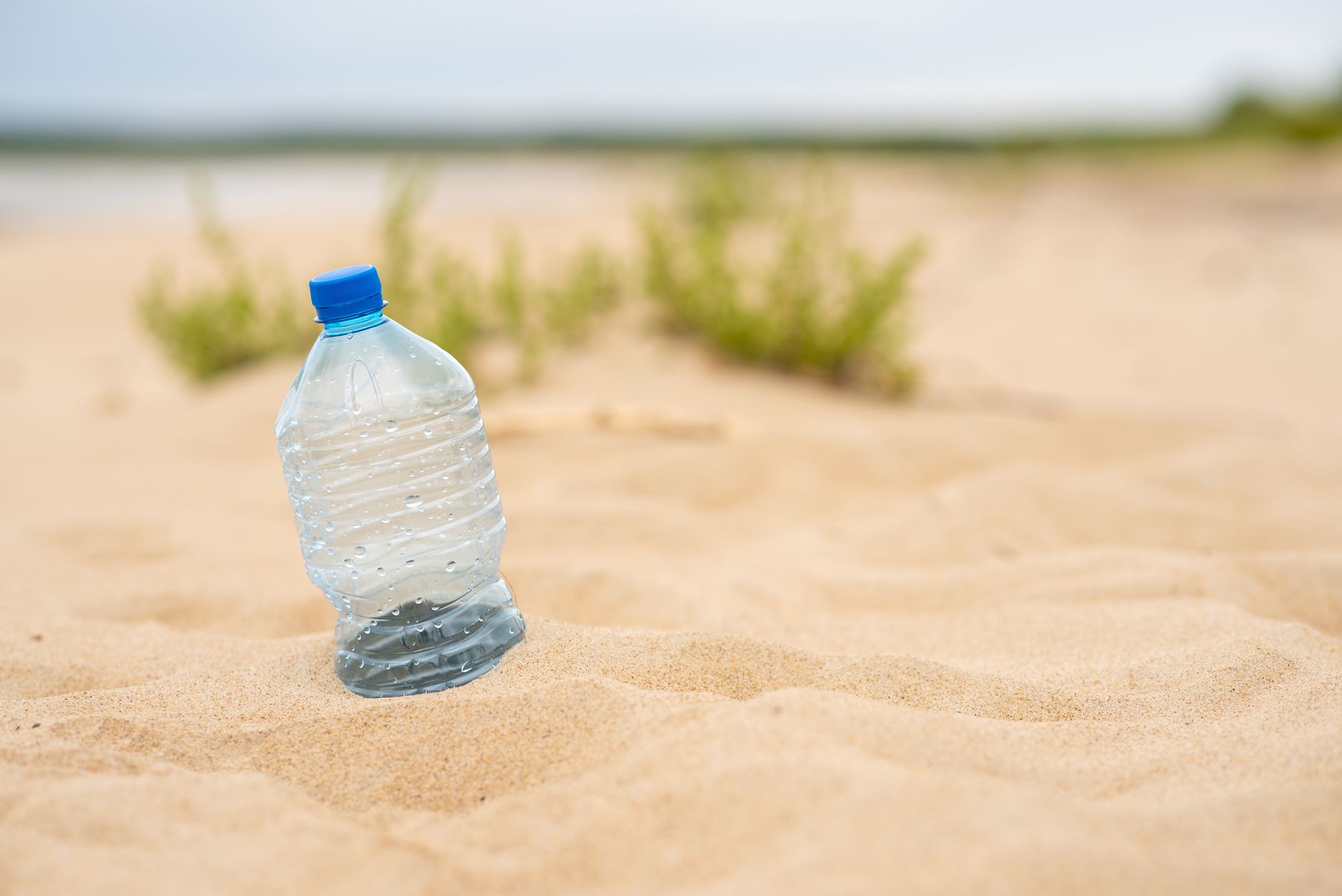 Plastic debris ocean gyre — Curiosidades