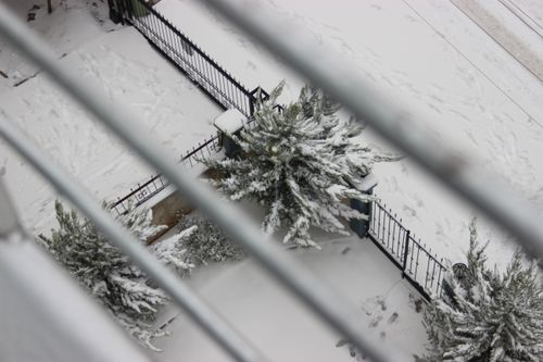 Free A serene high angle shot of snow-covered trees behind a metal fence, showcasing winter's beauty. Stock Photo
