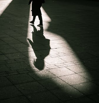 Silhouette of a person casting a shadow on pavement in Moscow at sunset.