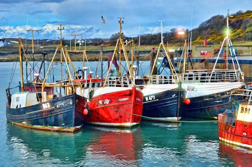 Free Red Blue and White Fishing Boats on Dock during Daytime Stock Photo