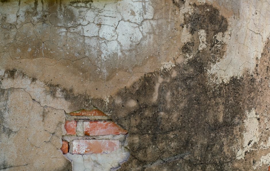 Slab Leak Cleanup service in Oakland, California — appliance leak detection and cleanup