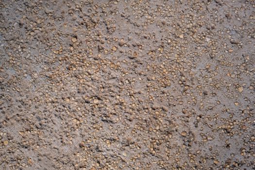 Rough Asphalt Texture in Close-Up Photography