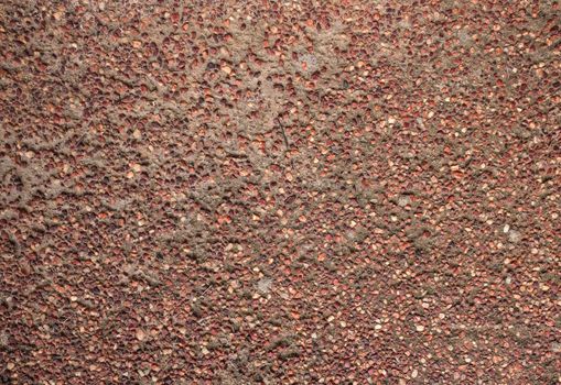 Close up of Ground Surface
