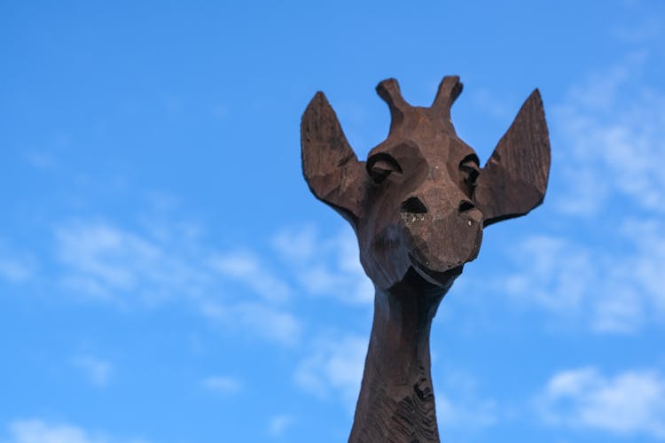 Sculpture Of Giraffe Head