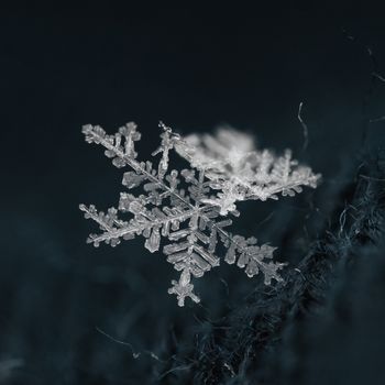 分類 - 球友体育