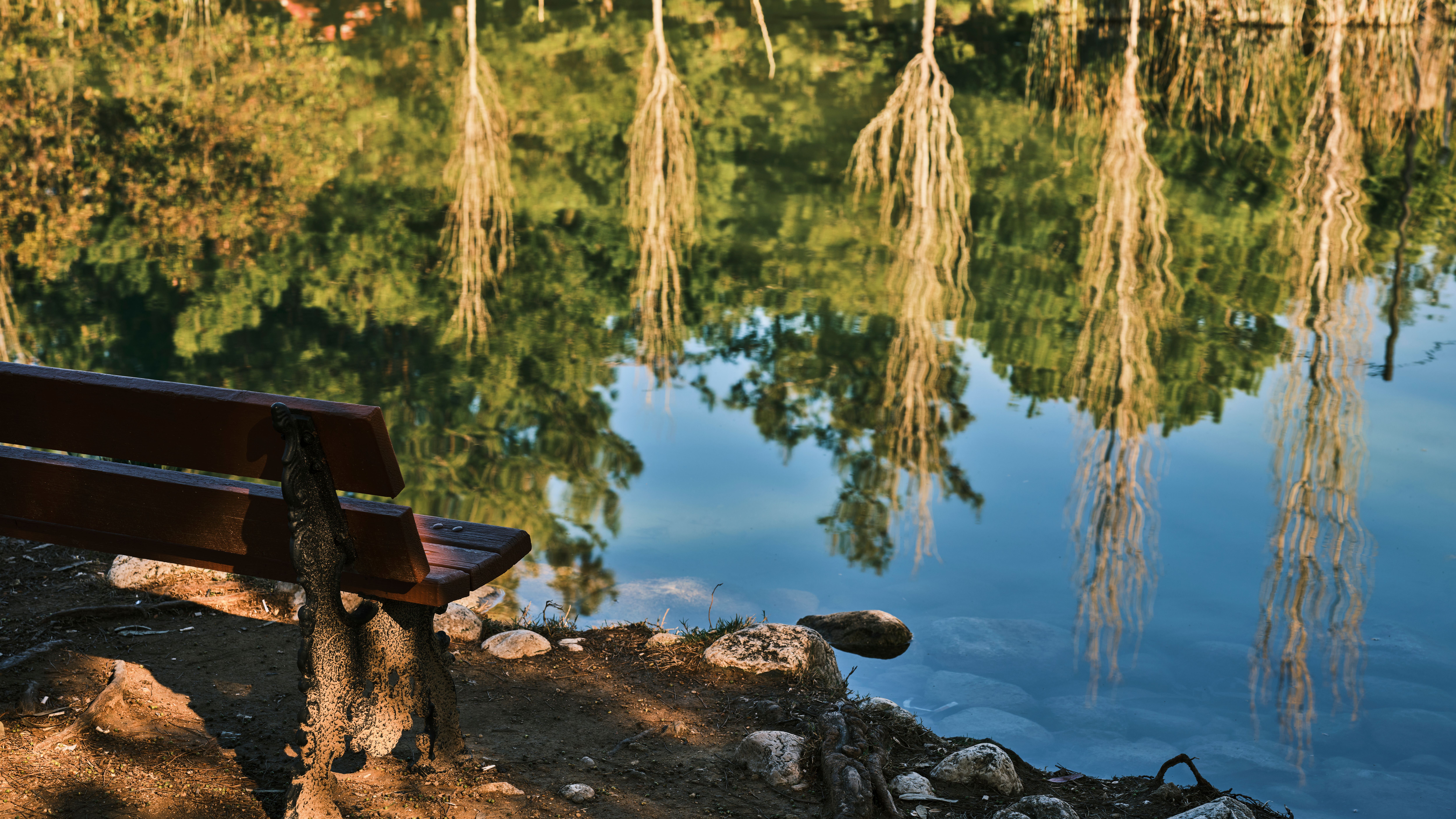 Brown Wooden Bench Near the Lake · Free Stock Photo