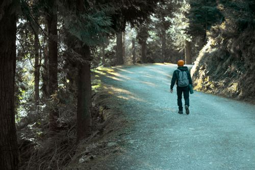 Free Man walking down a dirt road surrounded by forest trees, light filtering through the foliage. Stock Photo