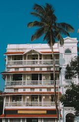 A coconut palm beside a Mumbai apartment building
