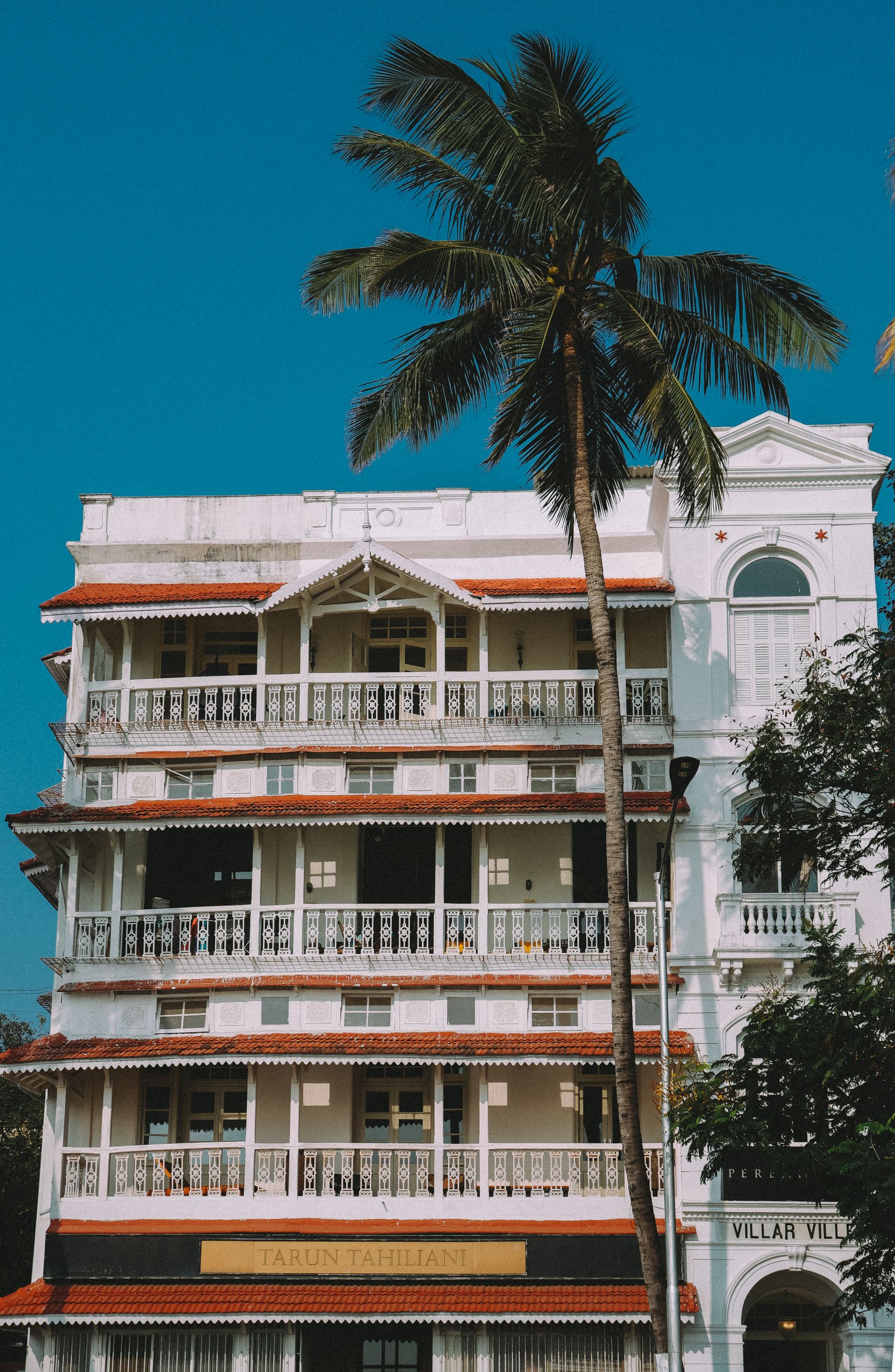 Photo: K3ithvision A coconut palm beside a Mumbai apartment building