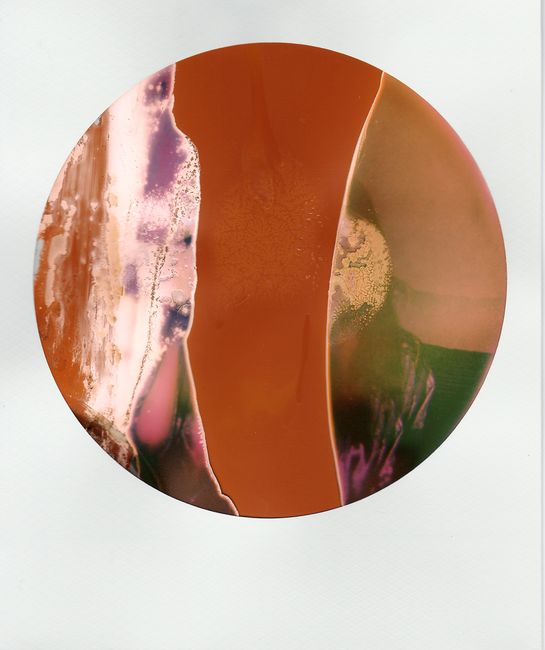 Artistic abstract circular composition with vibrant color patterns on a white background.