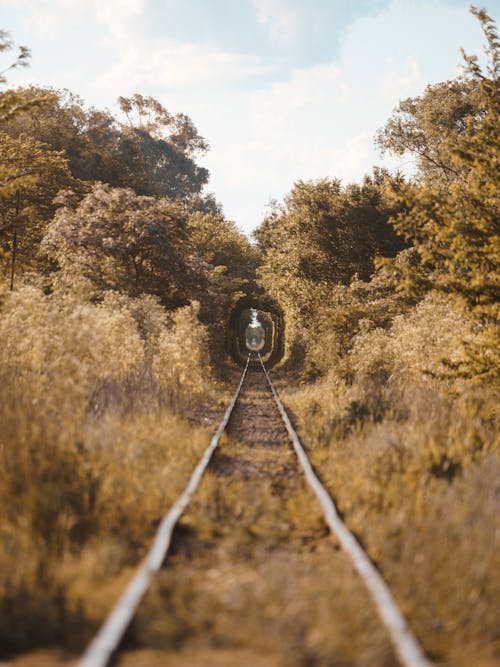 View of Railway among Dense Bushes in Autumn 