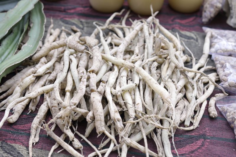 Liquorice Root (Glycyrrhiza glabra)