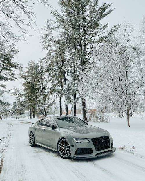 ağaçlar, araba, audi içeren Ücretsiz stok fotoğraf