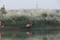 Woman in Red Jacket Sitting on Brown Wooden Boat on River
