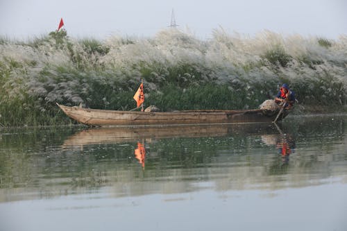 Photos gratuites de bateau, bois, eau