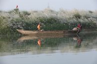 Man in Red Shirt Riding Brown Boat on River