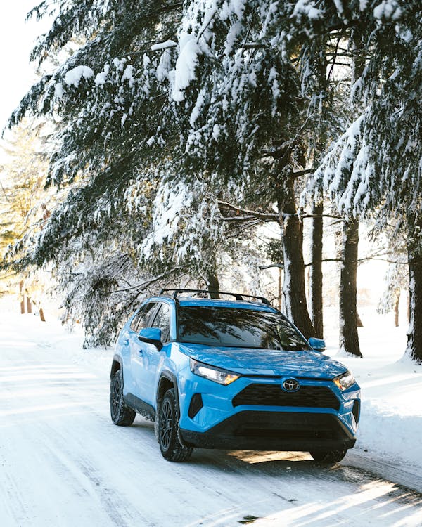 Blue Car Parked Under Pine Trees