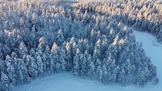 Breathtaking aerial view of a snow-covered forest in Nokia, Finland during winter.