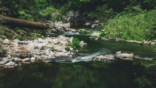 Free stock photo of long exposure, rocks, trails