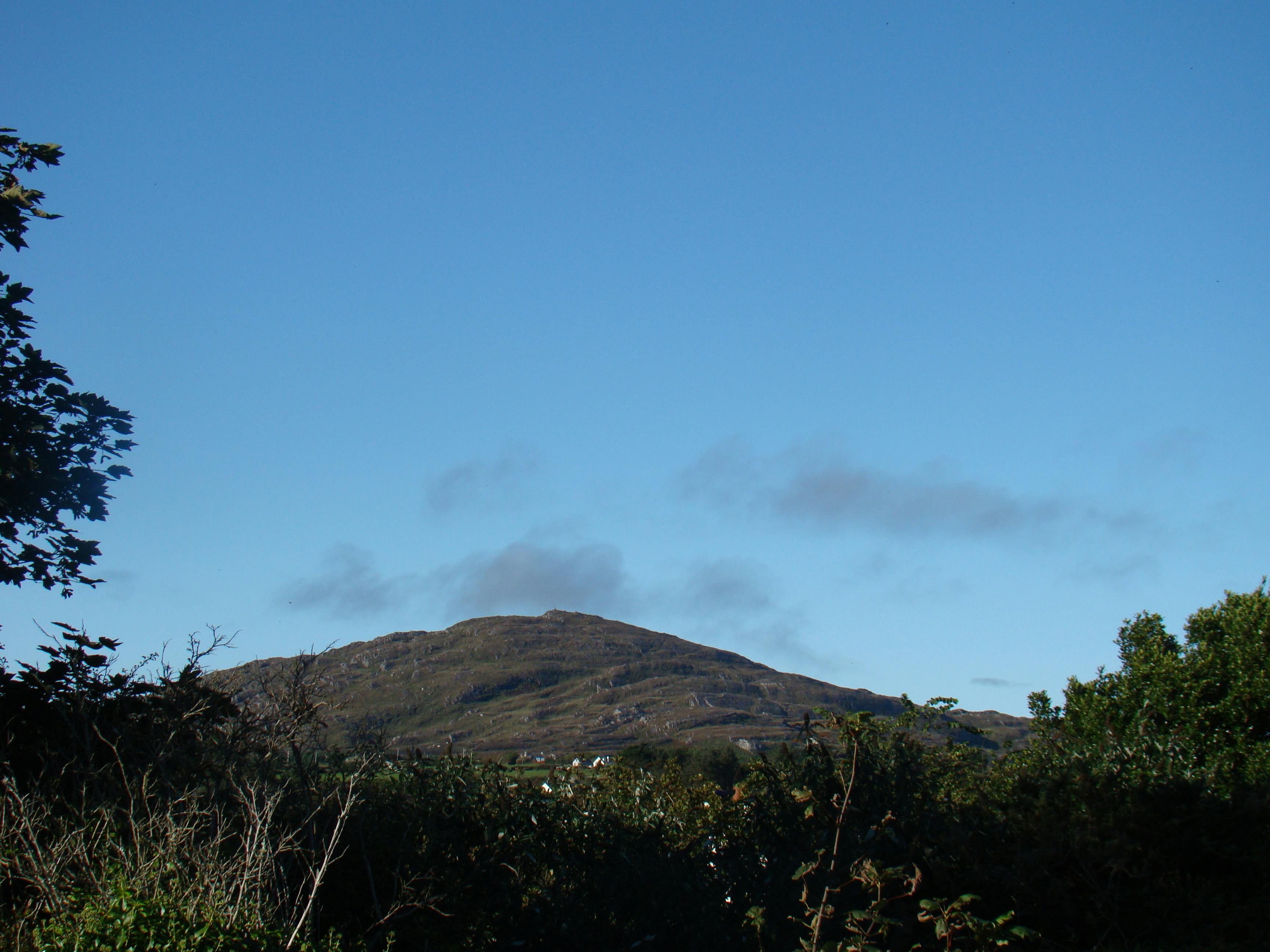Damaged guttering on the side of a house.