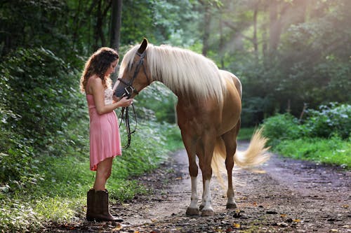 Girl in pink with horse