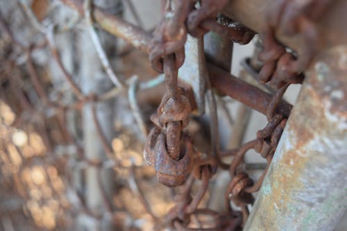 Základová fotografie zdarma na téma pletivový plot, řetězu, rez