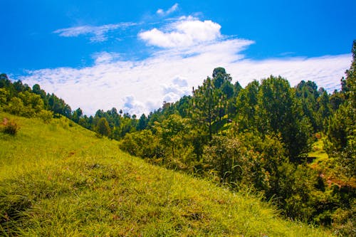 Immagine gratuita di fotografia della natura, naturale, nuvole