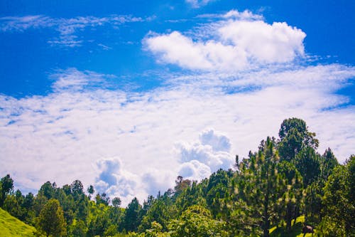 Immagine gratuita di cielo azzurro, cielo nuvoloso, mattina presto