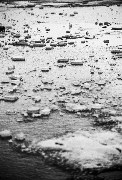 Chunks of Ice in a Frozen River