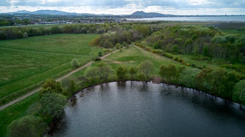 Aerial Photography of Grassland and Trees