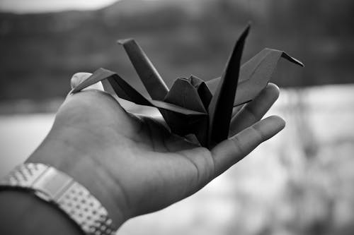 Free Grayscale Photo of a Person Holding an Origami Crane Stock Photo