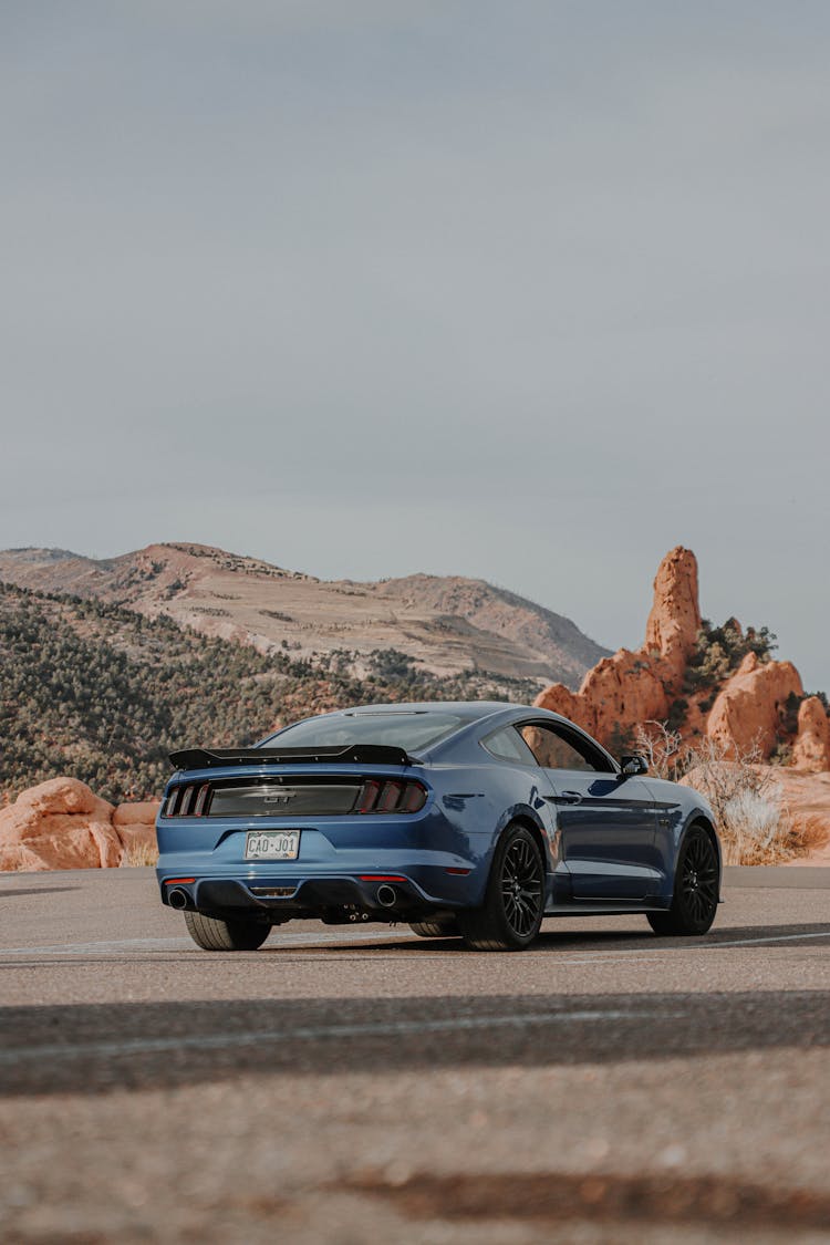 Back Of Blue Ford Mustang 