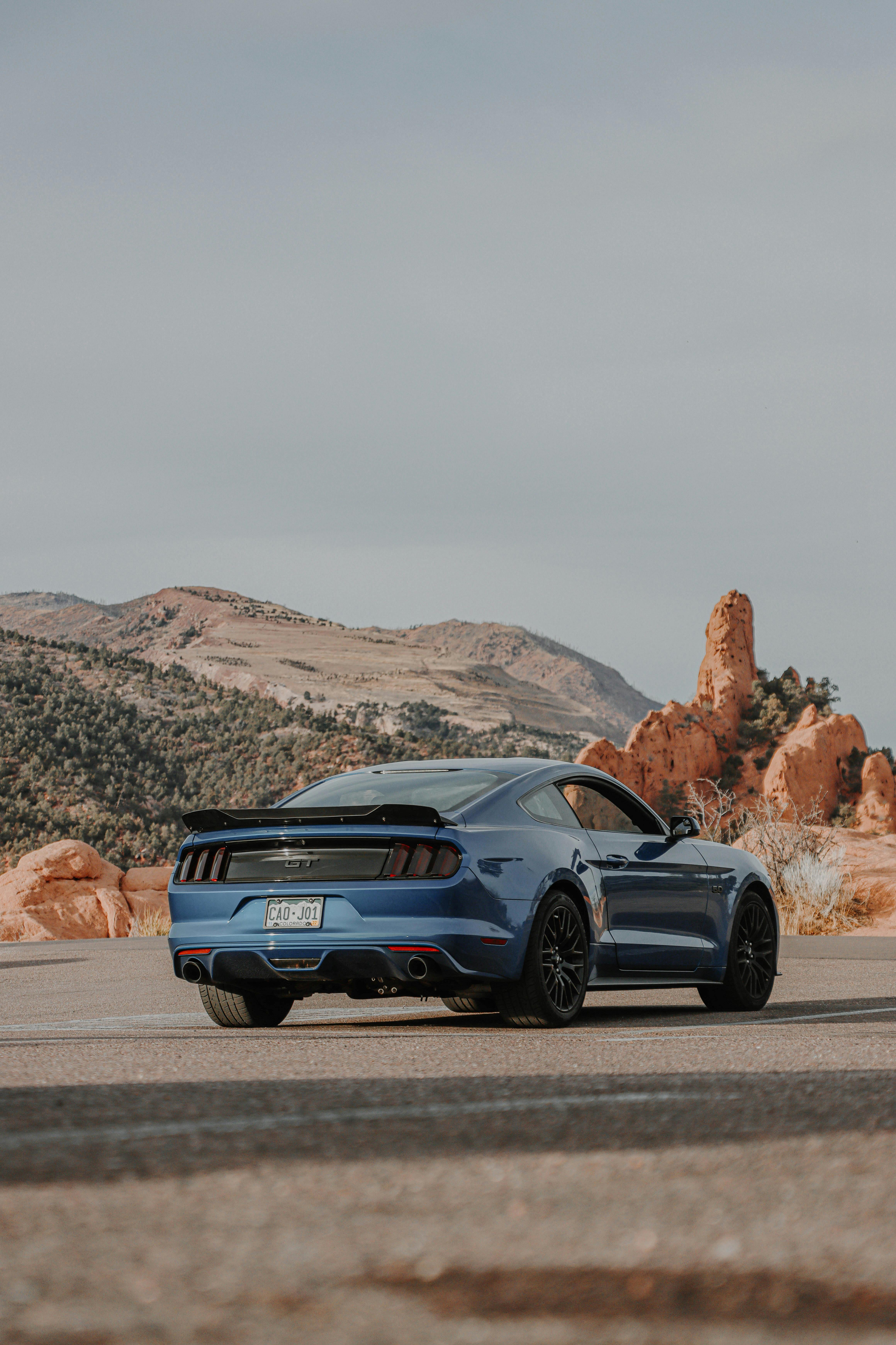 Mustang Photos, Download The BEST Free Mustang Stock Photos \u0026 HD Images, image size:4640x6960