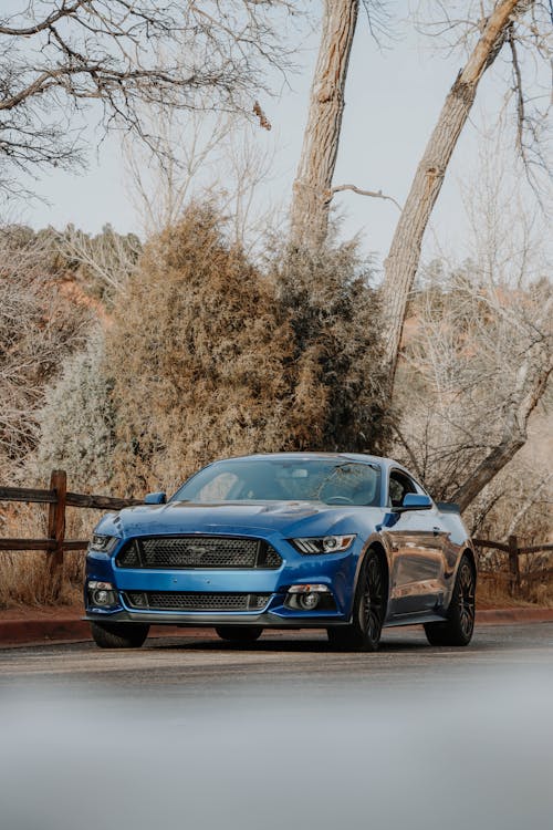 Free Blue Mustang on Road Stock Photo