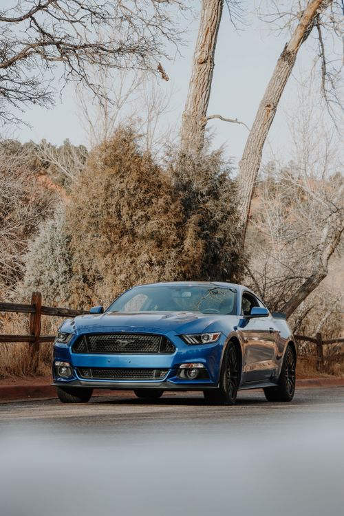 Free A powerful blue sports car parked on a serene forest road, showcasing luxury and performance. Stock Photo