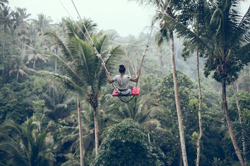 Person Riding on Zip Line