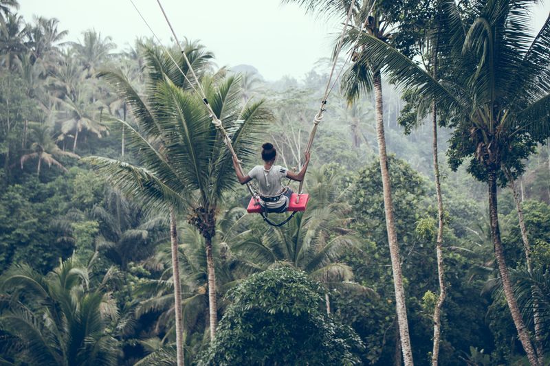 Zip lining through the forest
