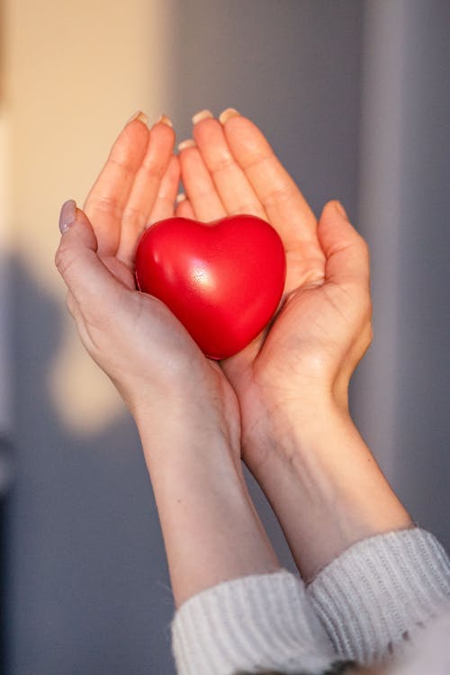 A Heart Shaped Thing on a Person's Hands