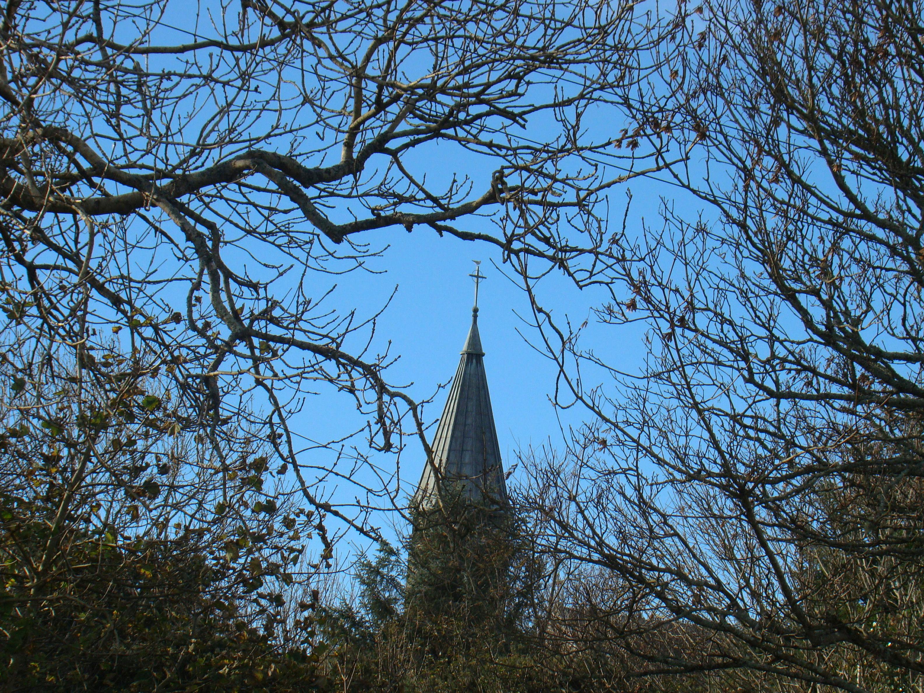 会议室内人们正在讨论文件内容