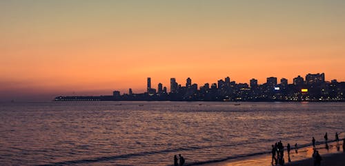 Silhouette of City Skyline during Dusk 