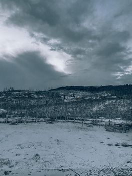 Snow-covered hills and bare trees under a cloudy, winter sky, creating a serene and cold atmosphere.