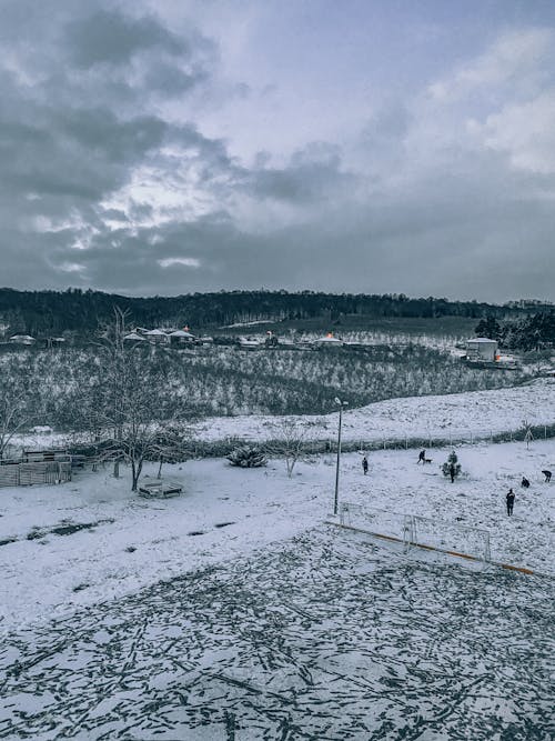 下雪的天氣, 冬季, 土地 的 免费素材图片