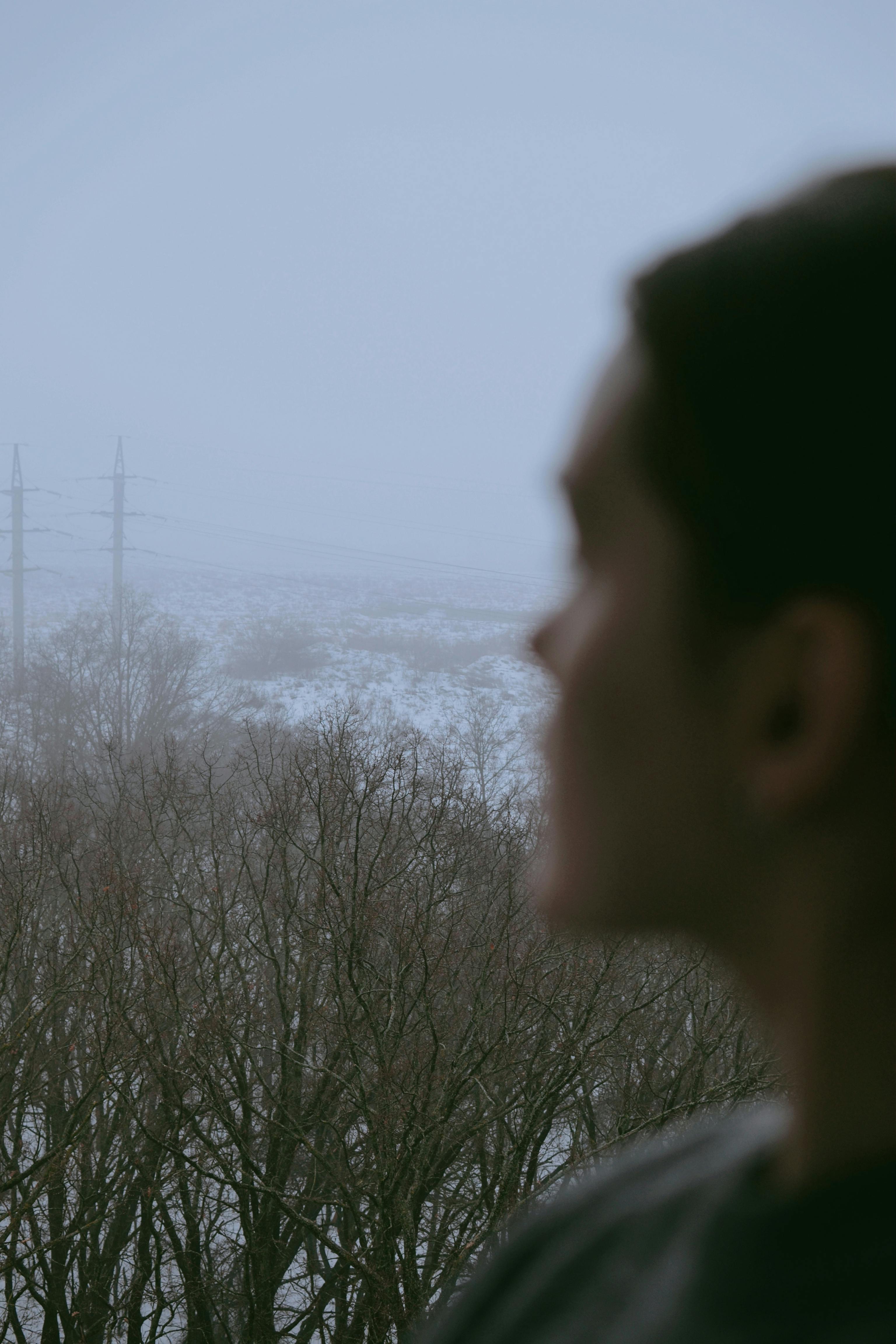 A blurred silhouette overlooks a misty winter landscape with bare, leafless trees.