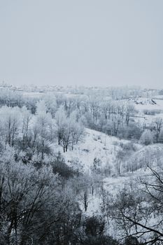 A breathtaking view of a frosty winter wonderland with snow-covered trees.
