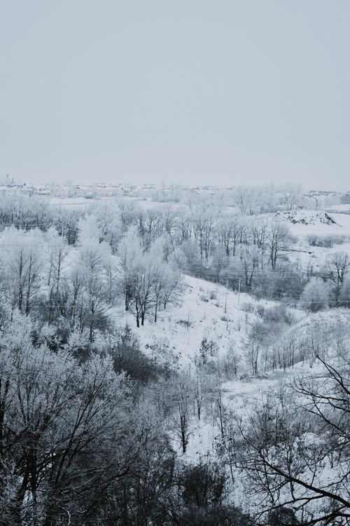Free A breathtaking view of a frosty winter wonderland with snow-covered trees. Stock Photo