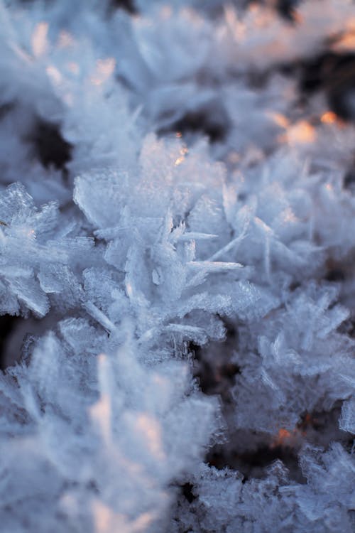 Free Shapes of Frost Stock Photo