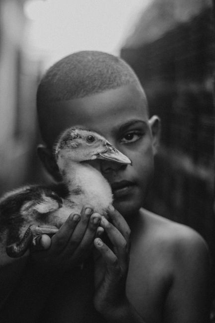 A child holding a duck in an intimate black and white portrait capturing innocence.