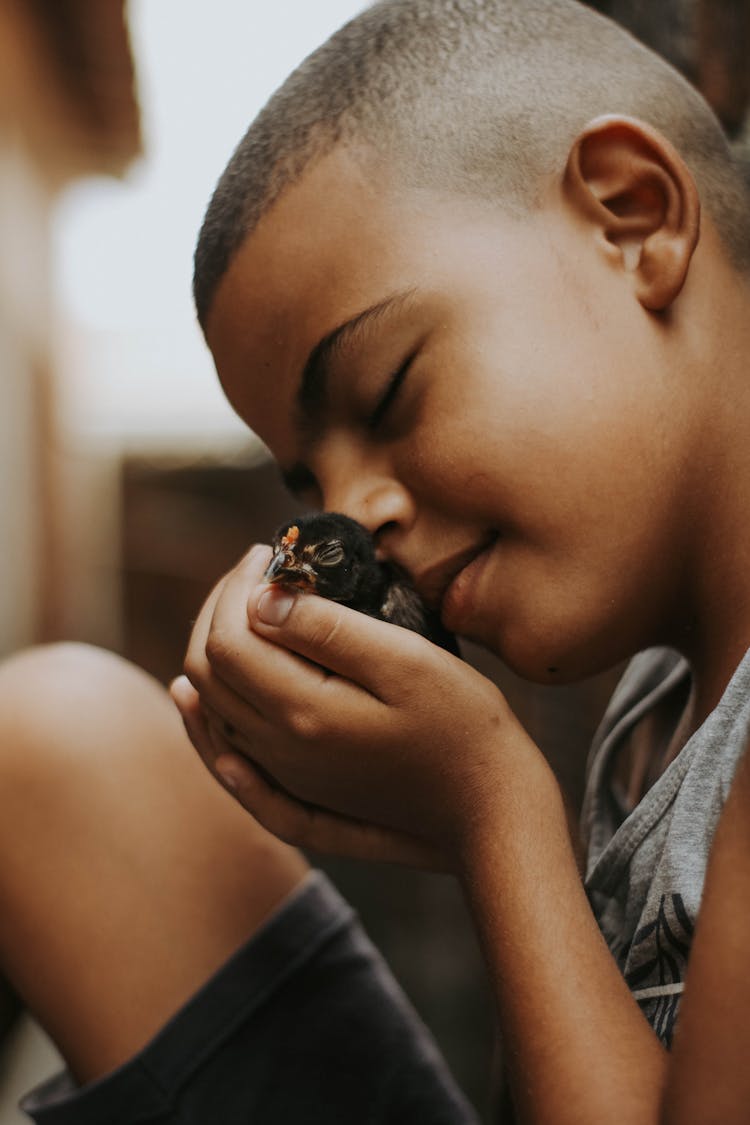 Boy Holding Duck In Hands