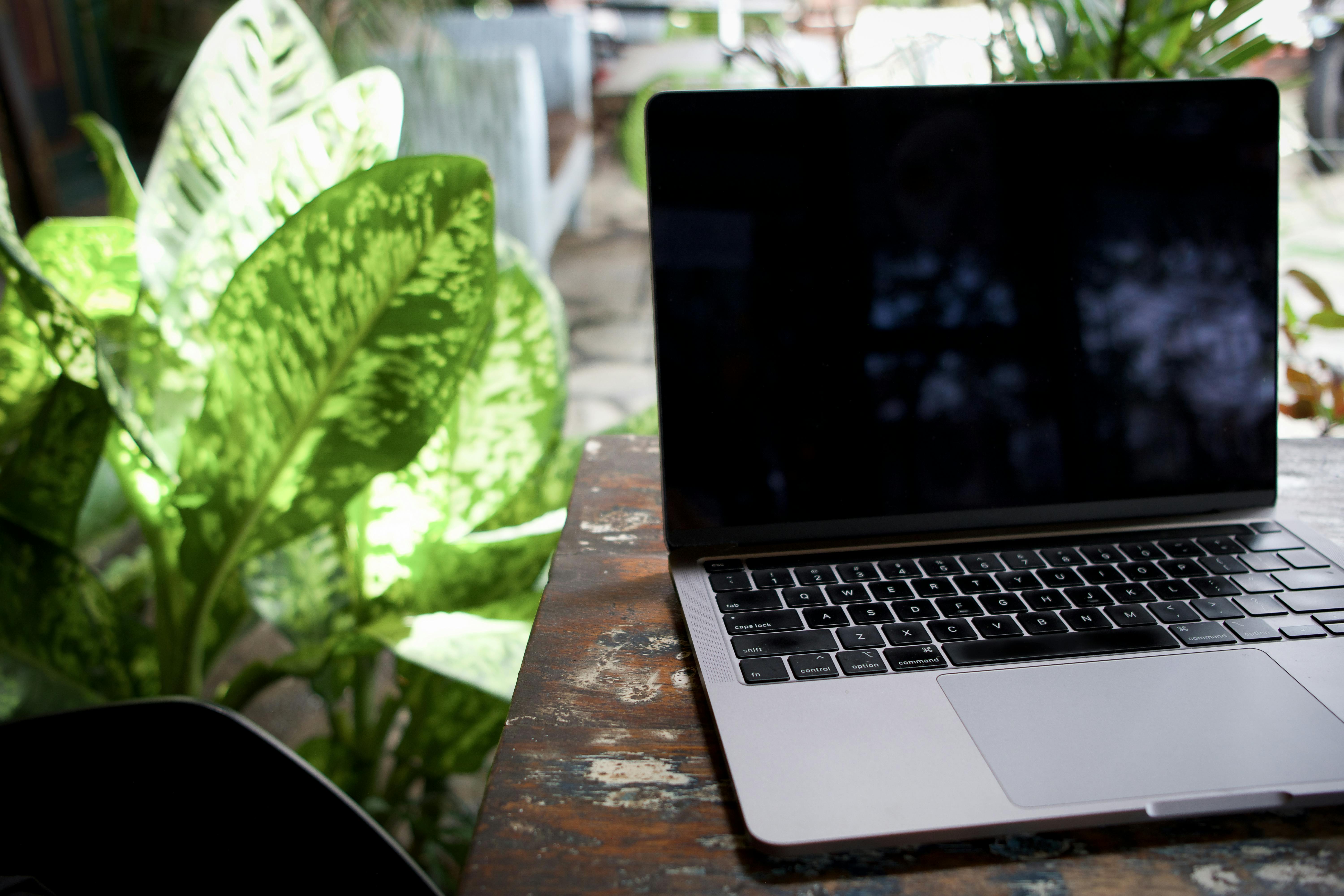 Digital Nomad Guide to Bali — Working Remotely from the Island of the Gods