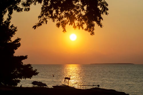Free stock photo of beach, beach sunset, beautiful sunset